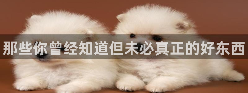 劲球体育：那些你曾经知道但未必真正的好东西