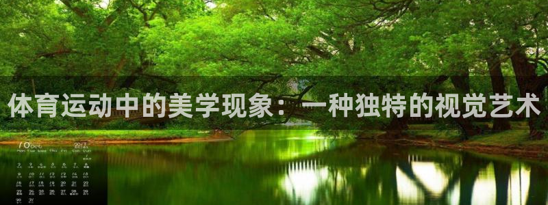 劲球体育视频：体育运动中的美学现象：一种独特的视觉艺术