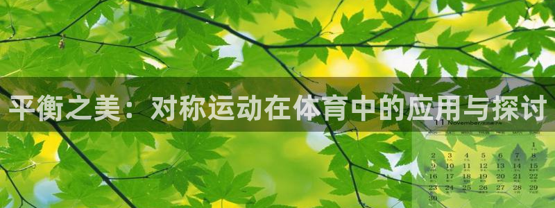 劲球体育免费观看高清视频篮球团团直播：平衡之美：对称运动在体育中的应用与探讨
