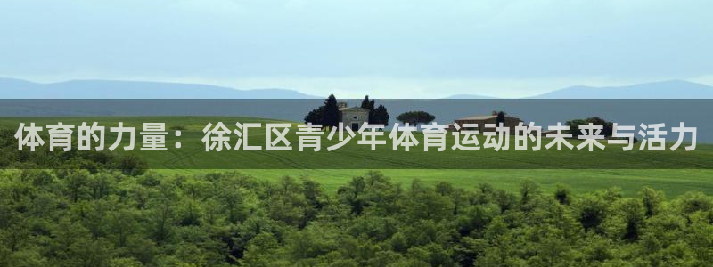 劲球体育直播在线观看高清：体育的力量：徐汇区青少年体育运动的未来与活力