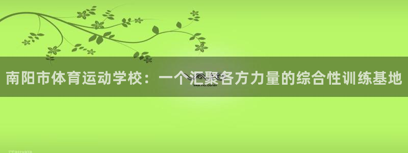 劲球体育app官方下载：南阳市体育运动学校：一个汇聚各方力量的综合性训练基地