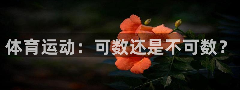 劲球体育在线：体育运动：可数还是不可数？
