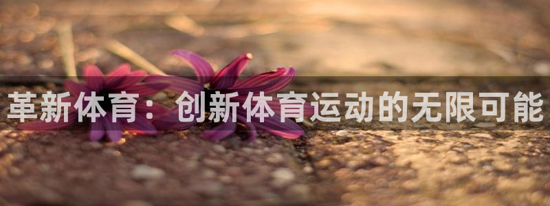 劲球体育视频：革新体育：创新体育运动的无限可能